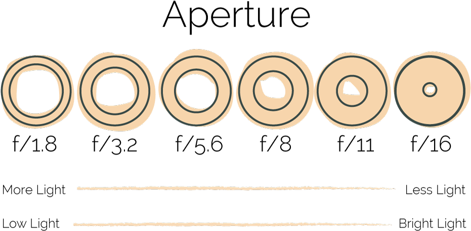 So, If You Are In A Bright Light Situation And Already - Circle (1000x680), Png Download