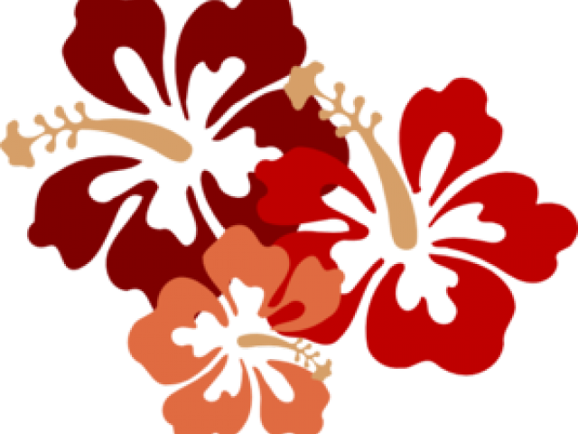 Hibiscus Clipart Jaba - Hibiscus Clip Art (640x480), Png Download