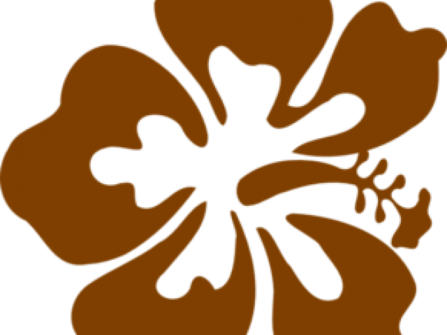 Big Island Tv Logo (640x480), Png Download