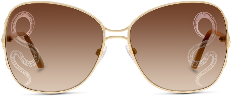 Rc1060 32g Gold/brown Mirror - Shadow (915x360), Png Download