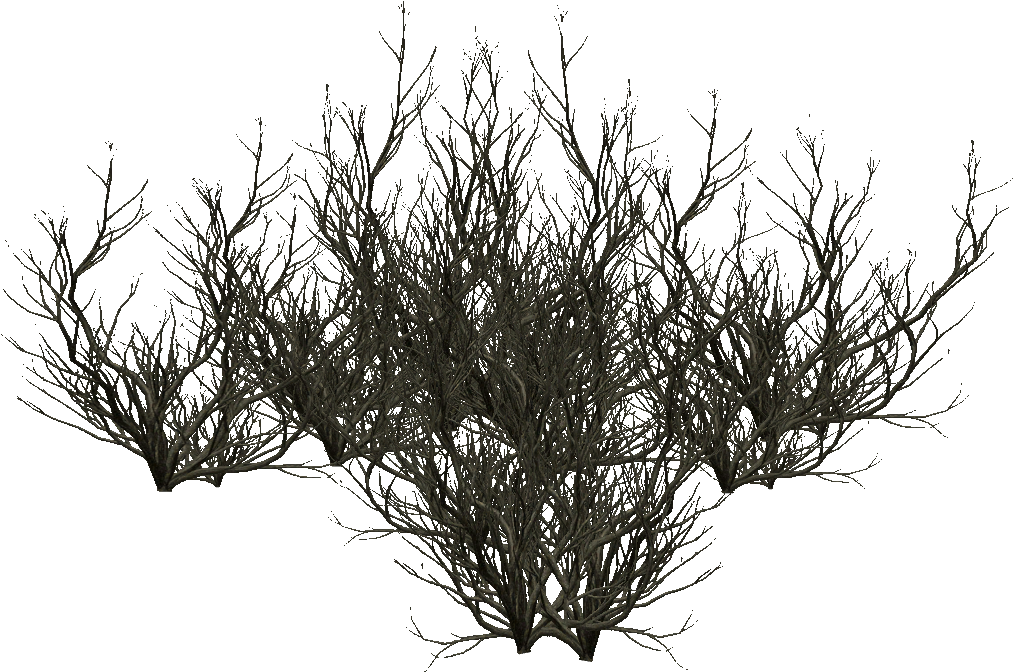 Tree Roots - Silhouette (1012x1012), Png Download
