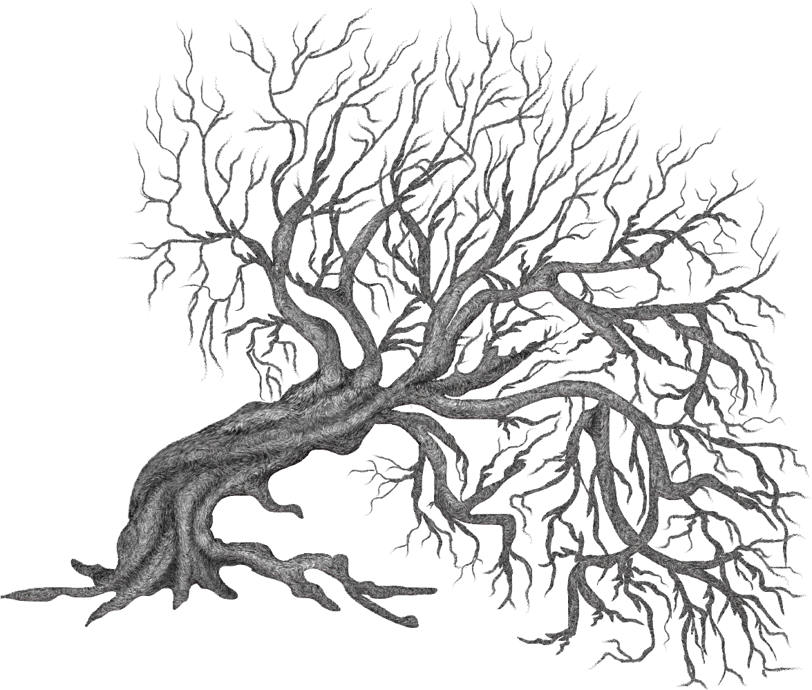 Winter Trees Painting Tree, Clipart Illustration, Png - Clip Art (1175x999), Png Download