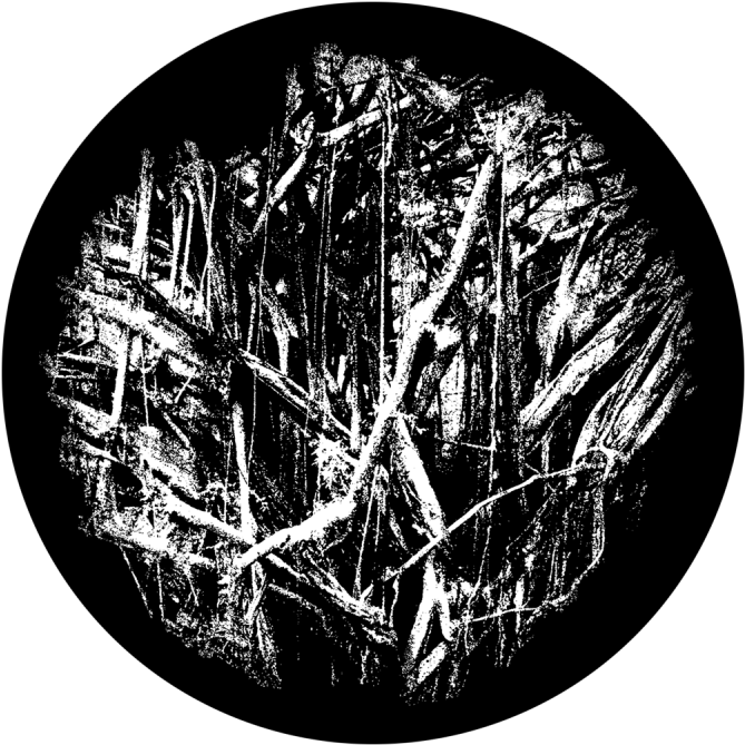 Tree Roots - Apollo Design 0248 Tree Roots B&w Superresolution (800x800), Png Download