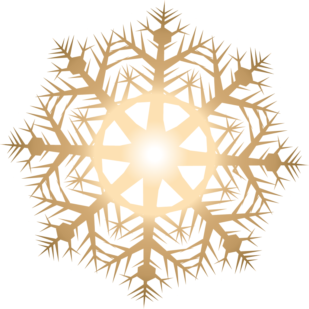 Light Snowflake - Snowflakes Vector Png (1024x1024), Png Download