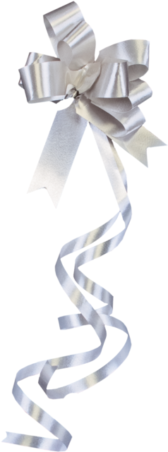 Bow, Pp, 13mm, Ø60mm, Silver - Snelstrik, Pp, 13mm, 62cm, Ø60mm, Zilver (640x640), Png Download