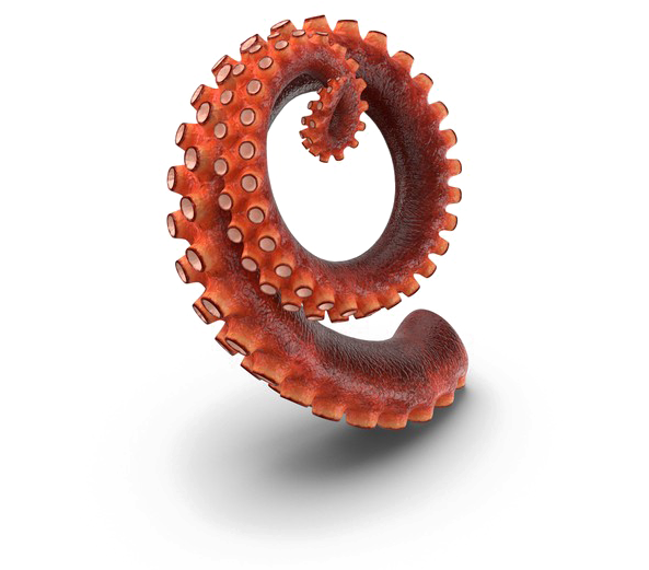 Octopus Tentacles Png Hd - Tentacle (600x600), Png Download