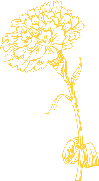 Yellow Carnation Svg Clip Arts 324 X 592 Px (324x592), Png Download