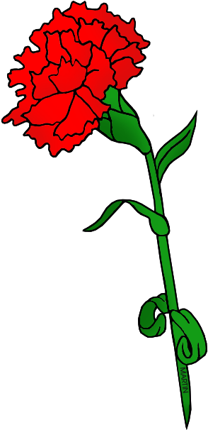 Ohio Carnation Flower Clipart - Ohio State Flower Clipart (351x648), Png Download