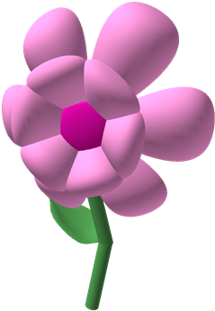 Pink Carnation - Cut Flowers (420x420), Png Download