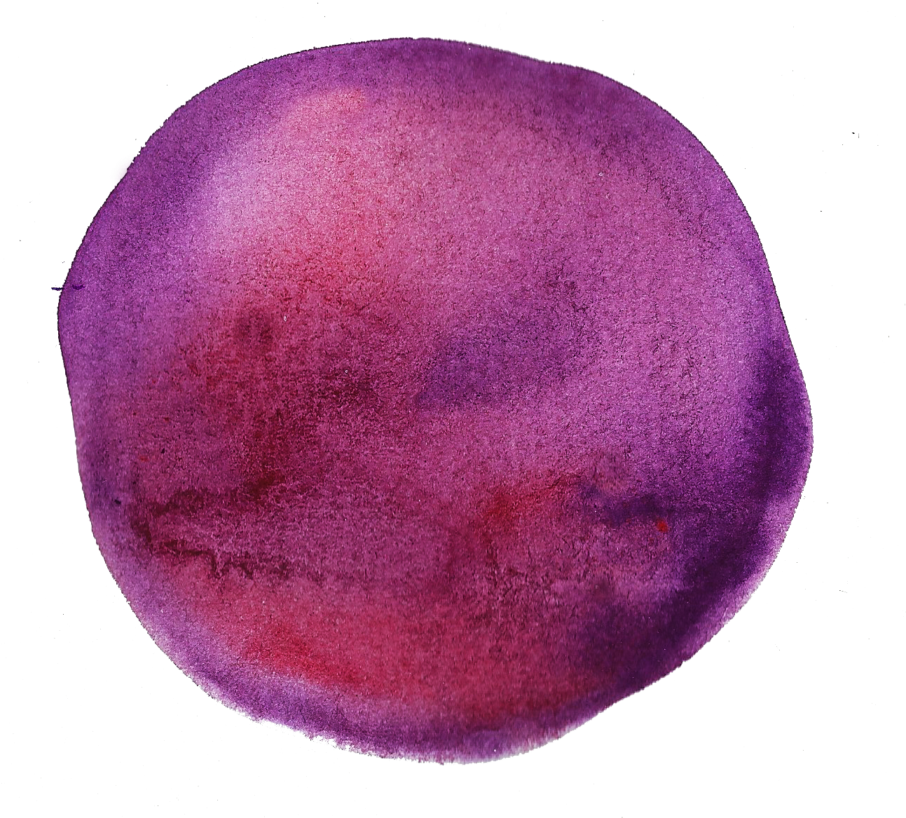 Plum (1500x1500), Png Download