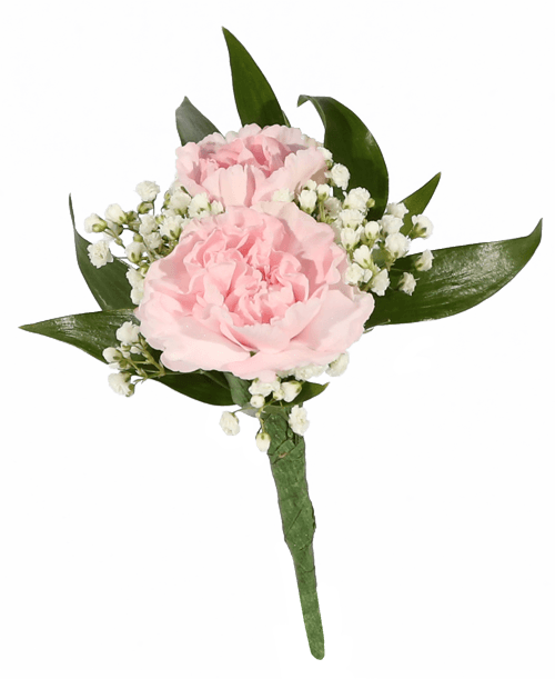 Pink Mini Carnation Boutonniere - Carnation Boutonniere (500x611), Png Download