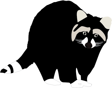 Black Raccoon Clipart - Raccoons Clipart Transparent (508x508), Png Download