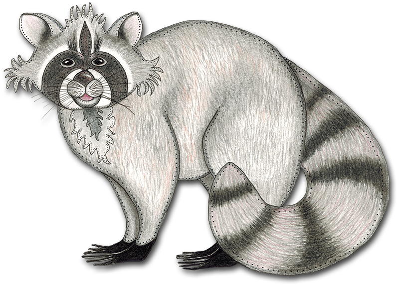 Download Drawing Raccoon Cool - Library - Full Size PNG Image - PNGkit