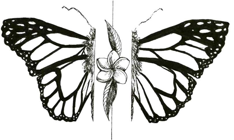 Mariposa - Portable Network Graphics (1000x1050), Png Download