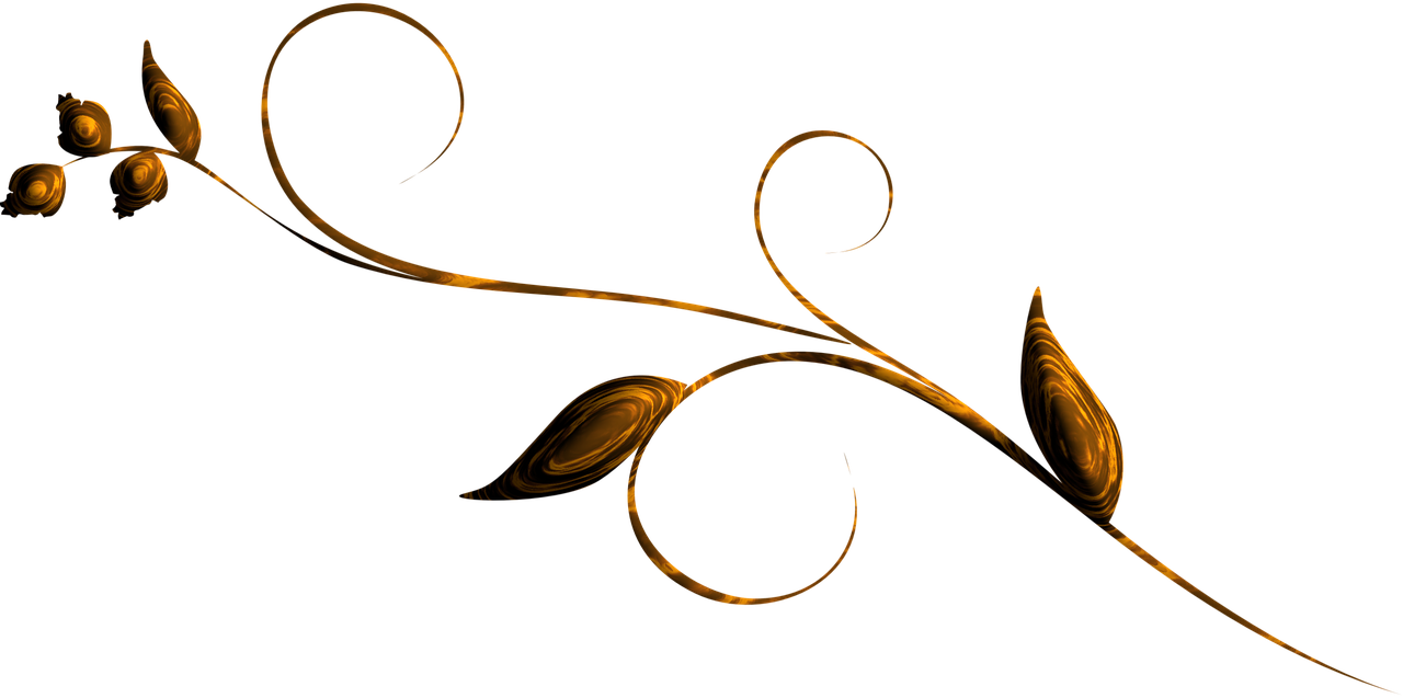 Vector Freeuse Library Cliparts Shop Of Library Buy - Clear Background Border Gold Swirl Clip Art (960x477), Png Download