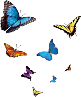 Previous - Catching Courage: Understand Your Fears, Control Your (436x467), Png Download