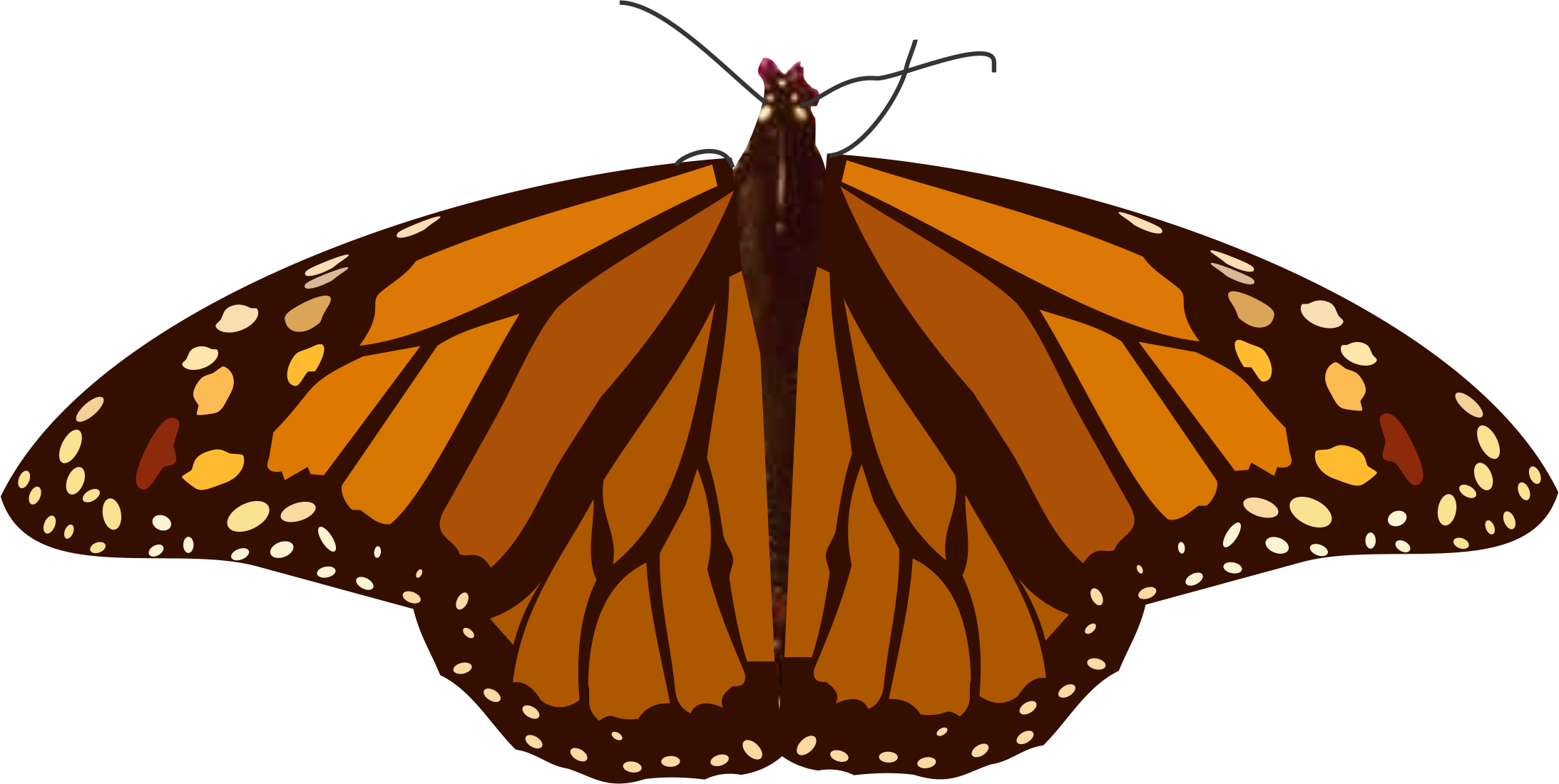 Mariposa 5 (2186x1100), Png Download