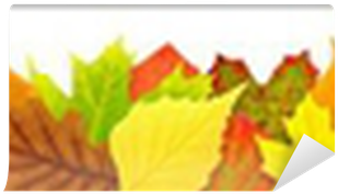 Colorful Autumn Leaves Border Isolated On White Wall - Buntes Herbst-blätter Magnet (400x400), Png Download