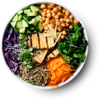 The Plant Yyz X Brain Food - Food (500x334), Png Download