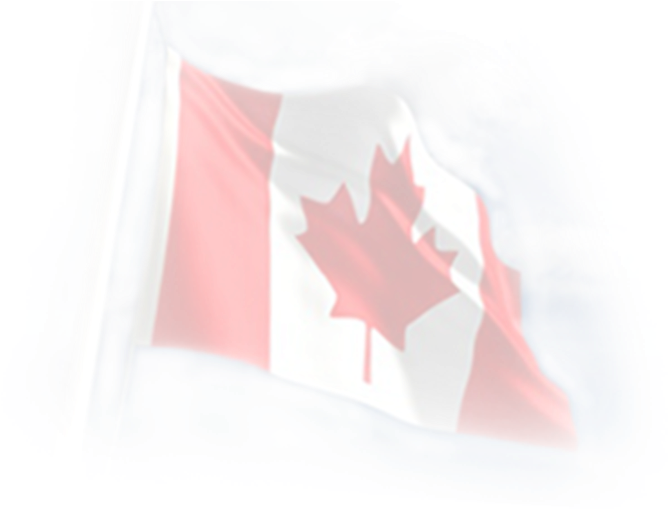 Canada Flag Logo Test - Canadian Flag (700x1000), Png Download