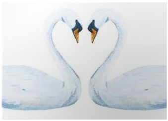 Trumpeter Swan (400x400), Png Download