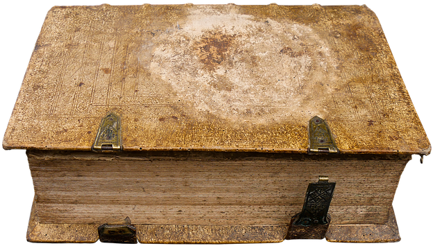 School, Education, Book, Read, Literature, Isolated - Salamanca (960x640), Png Download