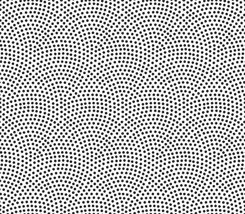 Samekomon-original 115 Kb - Clip Art (800x696), Png Download