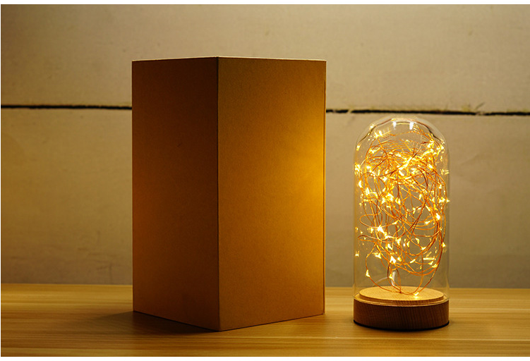 Download Led String Lights In Glass Dome Lightemitting Diode Full