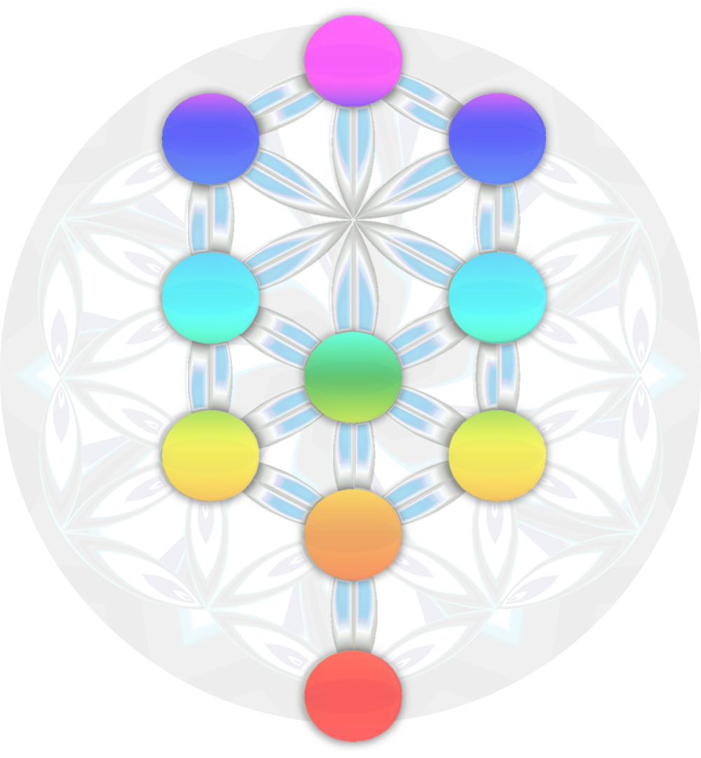 A Sacred Geometry Experience - Circle (1000x1081), Png Download