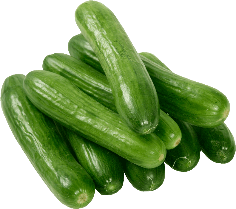 Gourd Clipart Single Vegetable - Cucumbers Clipart (1280x720), Png Download
