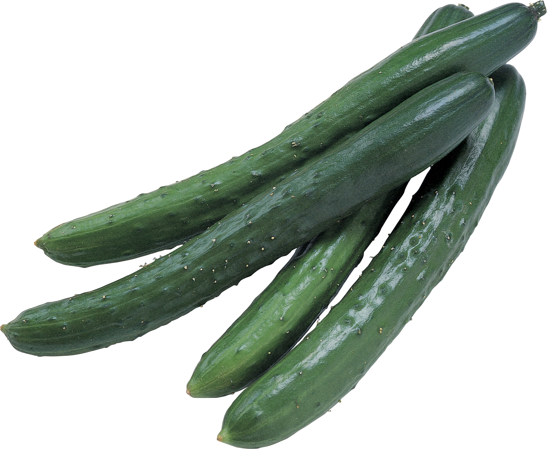 Cucumber - Cucumbers Png (500x410), Png Download