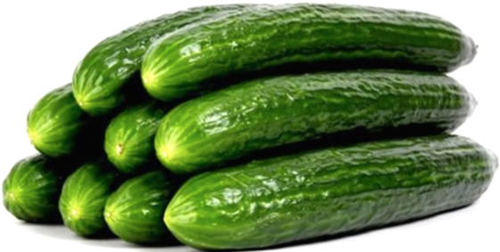 Veg Cucumbers Organic English Cucumber - European Cucumbers (600x600), Png Download