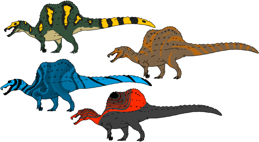 Spinosaurus Clipart Red Dinosaur - New Spinosaurus Deviantart (1024x572), Png Download