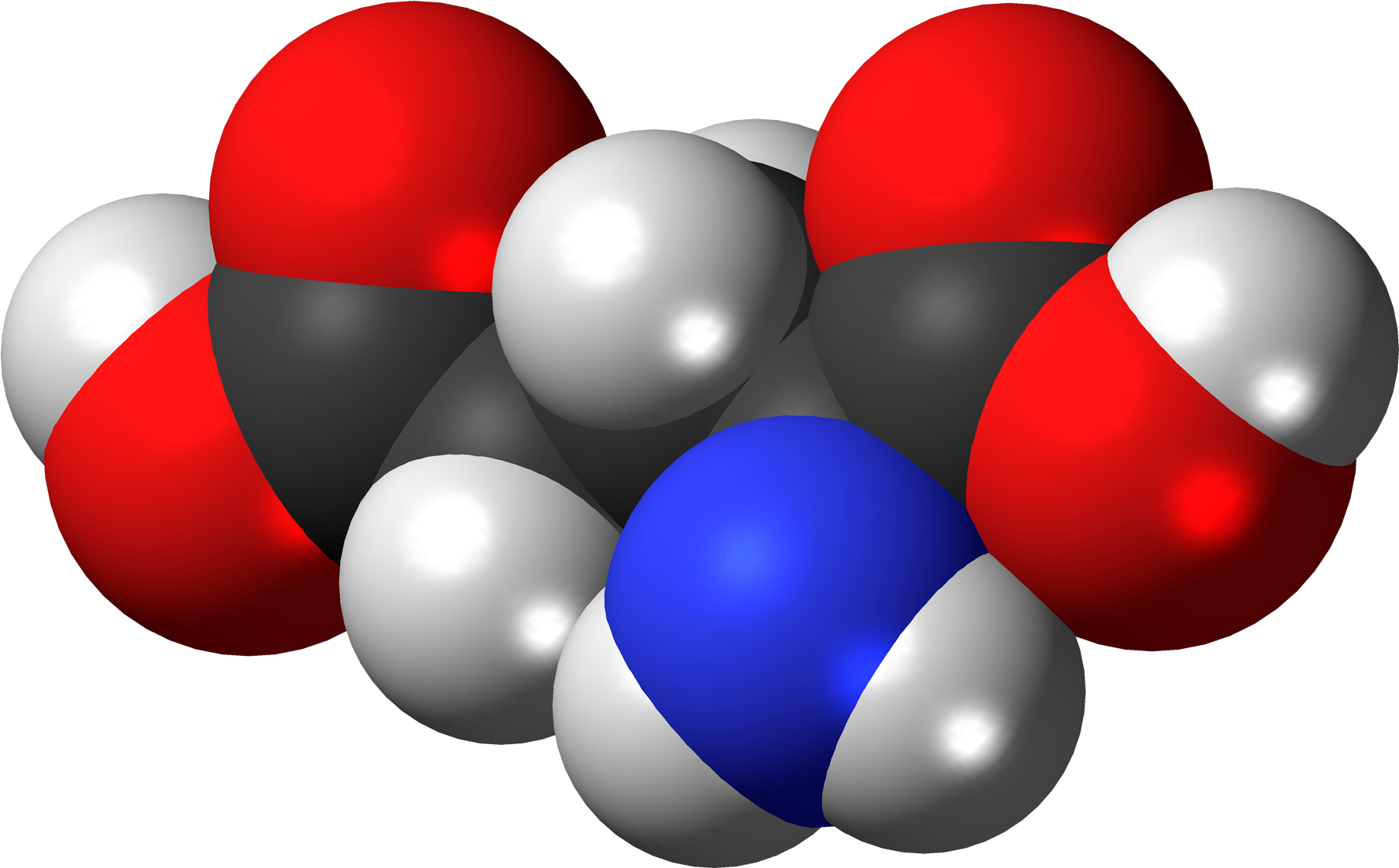 Glutamic Acid - Space Filling Model Amino Acid (2000x1314), Png Download