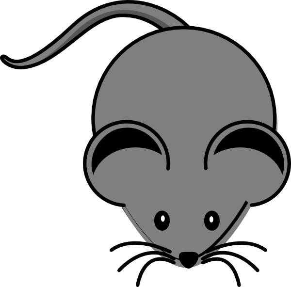 Mouse Png (600x592), Png Download