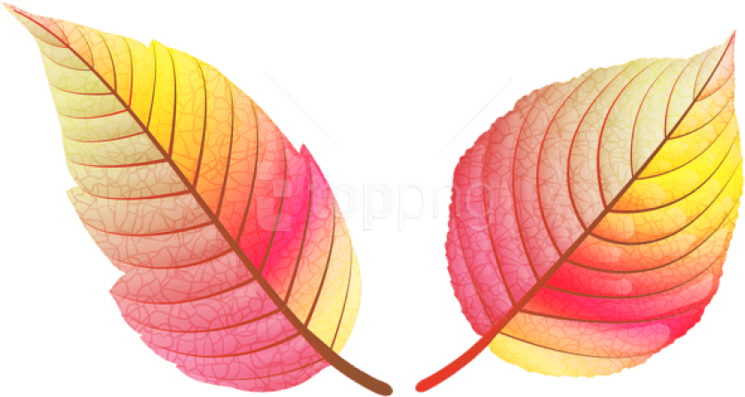 Free Png Download Colorful Fall Leaves Clipart Png - Colored Fall Leaves Png (850x476), Png Download