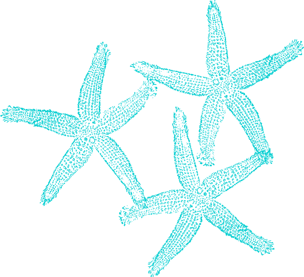Starfish Clip Art At Clker - Coral Clipart Transparent Background (600x548), Png Download