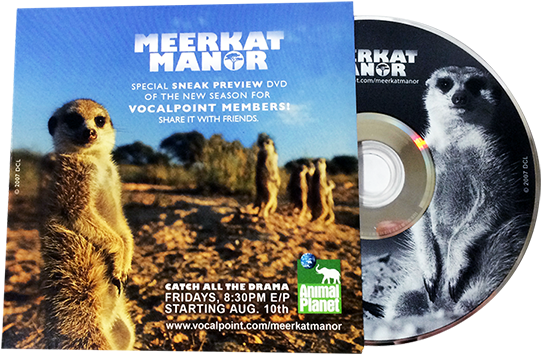 Blu-ray Eco Wallet 2 Panel - Meerkat Manor (600x600), Png Download