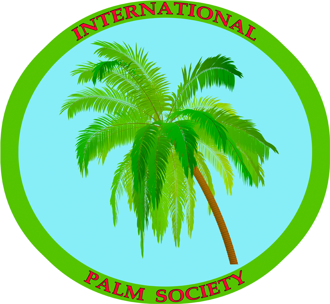 Blue1280-3 - Attalea Speciosa (1280x1126), Png Download