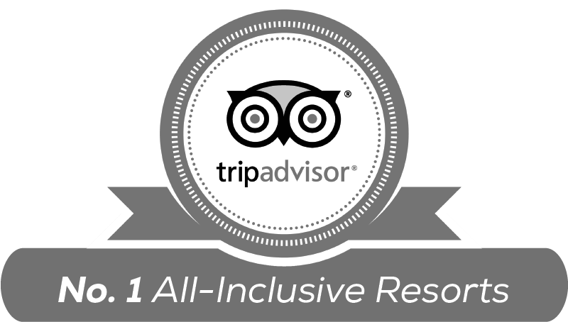 Chat - Trip Advisor (871x480), Png Download