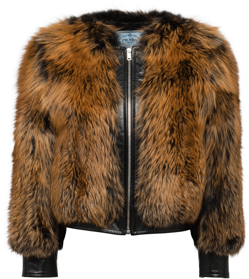 Fur Clothing (2400x2400), Png Download