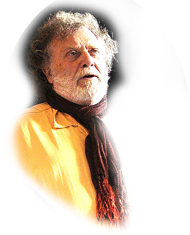 “a Leading Light In The Folk Revival Of The 1960s” - Human (802x800), Png Download