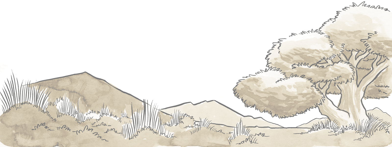 Com/what To Pack For Certain Death 11cc8f343f31 - Illustration (1600x600), Png Download