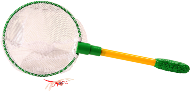 Butterfly Net - Tennis Racket (800x800), Png Download