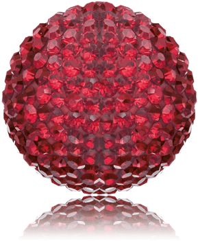 Gerbera Pomponi Black Pearl (600x600), Png Download