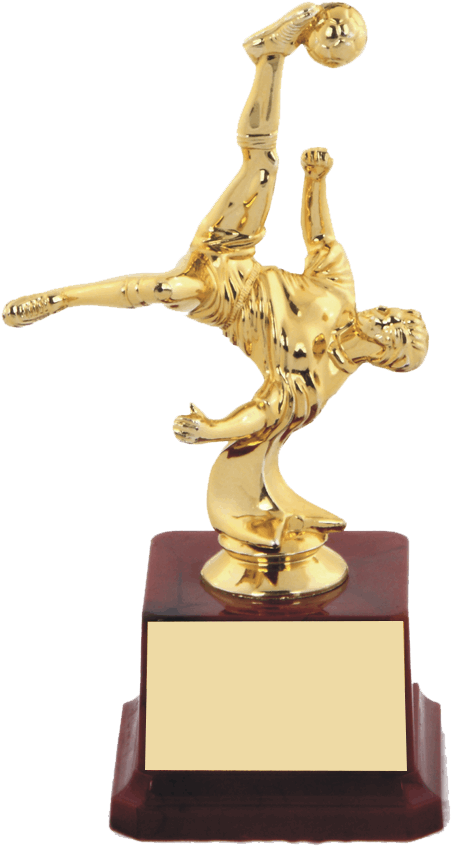 Football Trophy - Trophy (750x920), Png Download