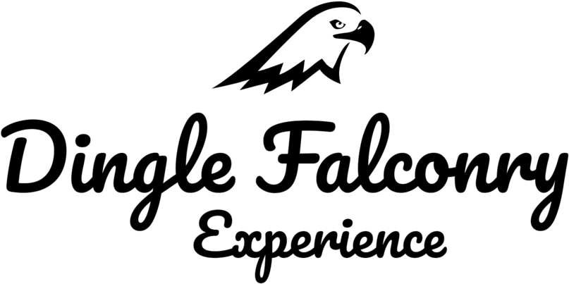 Prey Logo Png (1000x588), Png Download