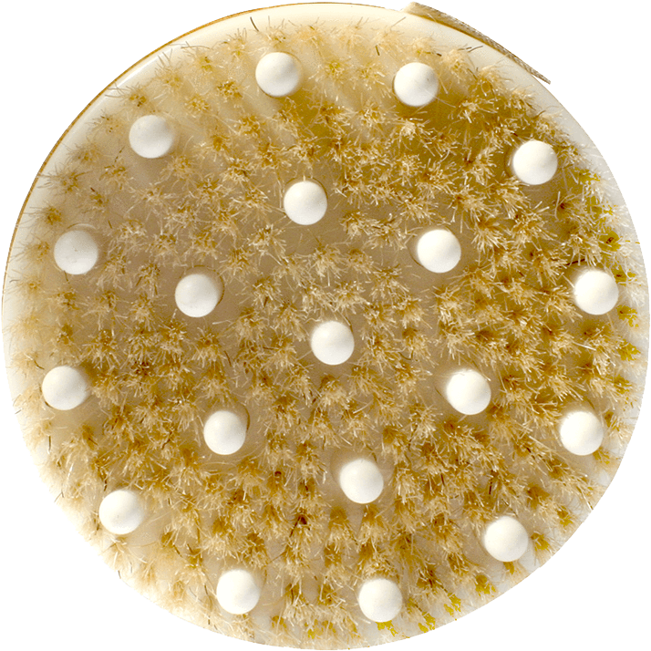 Daily Detox Massage Brush Daily Concepts Luxury Spa - Circle (800x800), Png Download