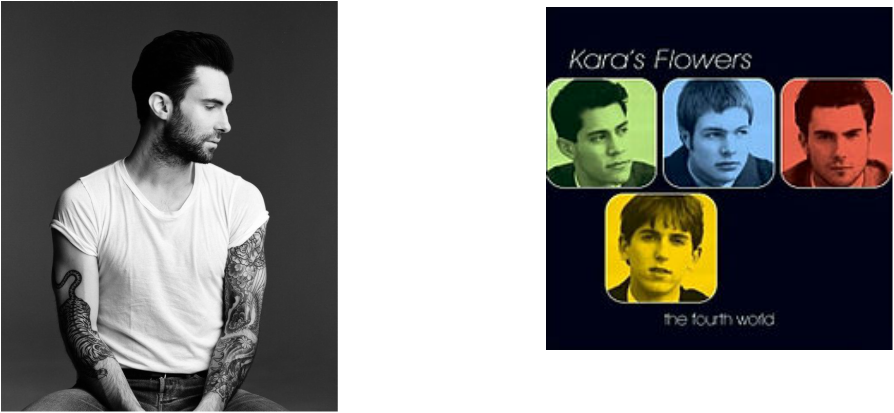 Fait Amusant 4, Adam Levine Est Un Hôte Sur "the Voice" - Kara's Flowers The Fourth World (894x413), Png Download