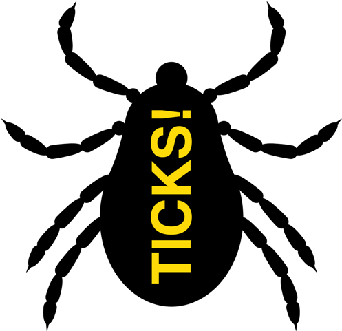 Extreme Pest Services - Tick (768x768), Png Download